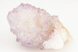 1.2" Cactus Quartz (Amethyst) Crystal- South Africa - #187203-1